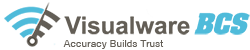 Visualware BCS Logo